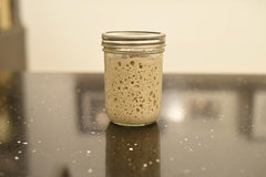 Sourdough starter