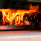 Multi-Fuel Pizza Ovens