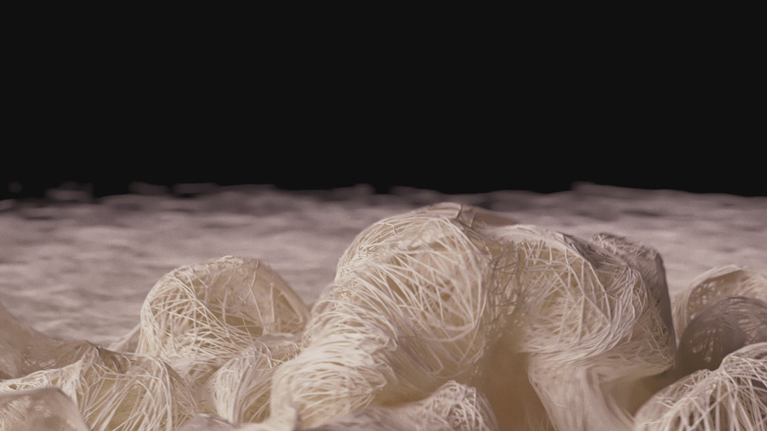 A video shows an extreme close up of gluten networks 