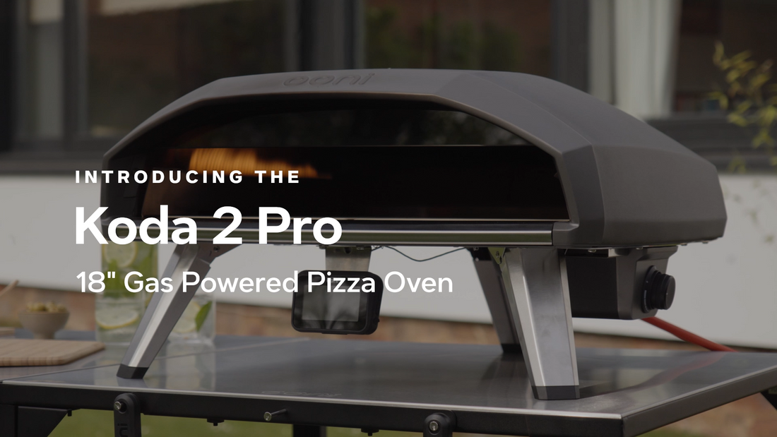 Introducing Koda 2 Pro Video