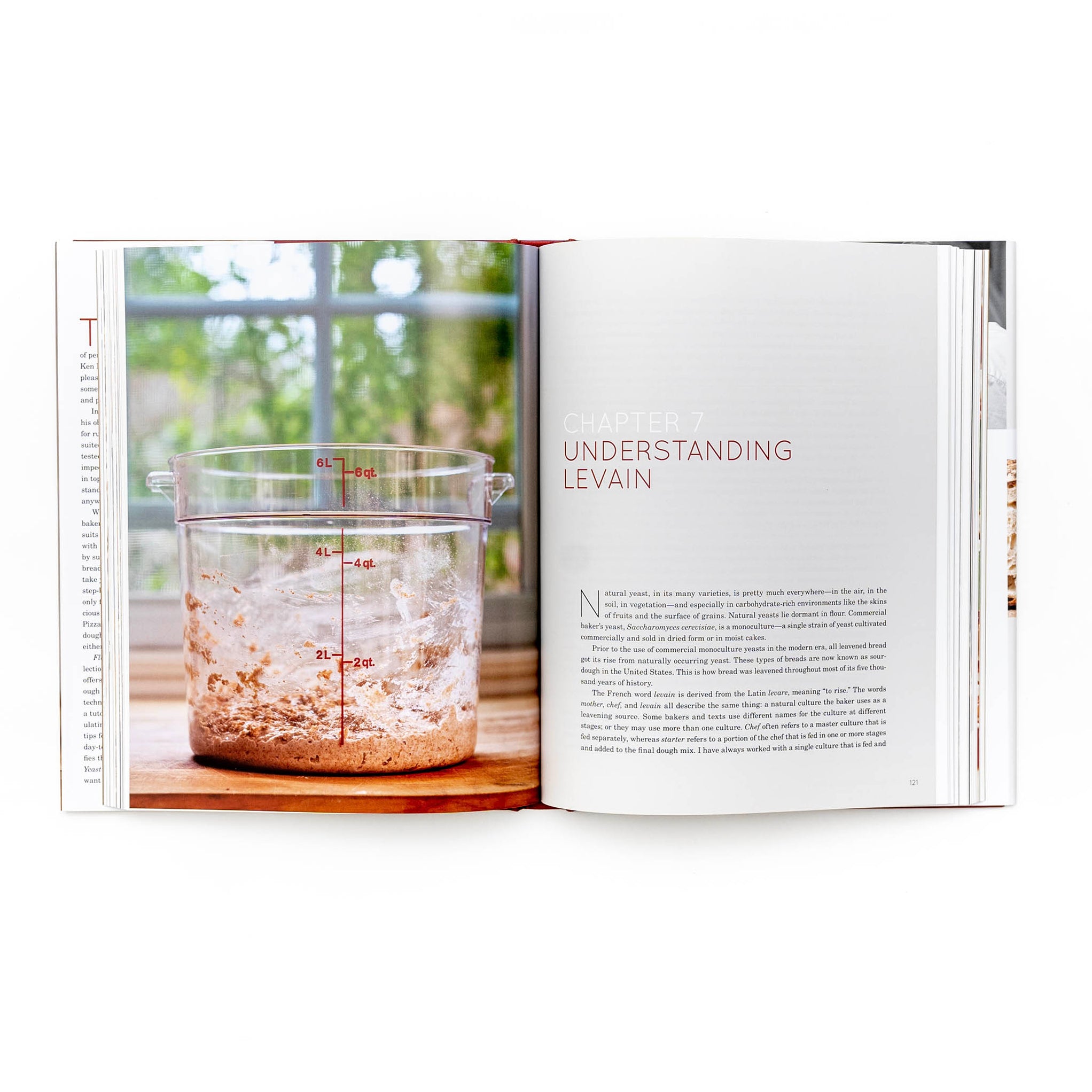 Flour, Water, Salt, Yeast by Ken Forkish — Ooni Europe